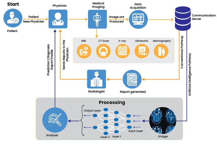 AI and ML Algorithms Work in Medical Imaging