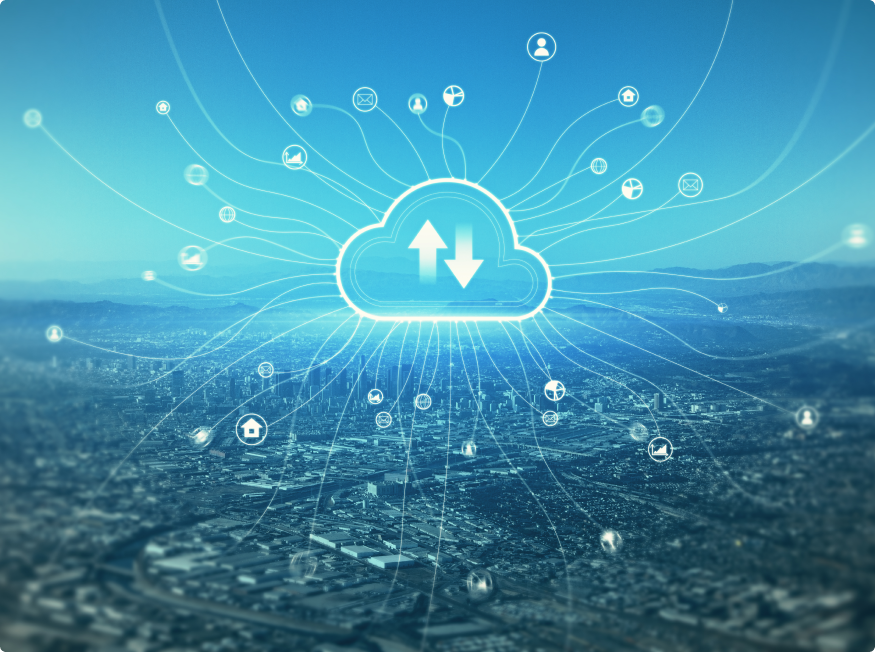 Outcome Multi Access Switch Development and Sustenance for a Network Access Solutions Provider