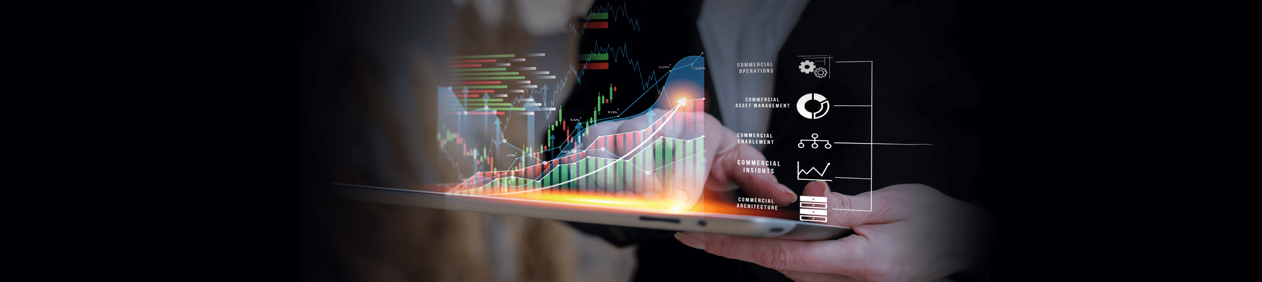 Designed Domain wise Revenue Data Model Banner