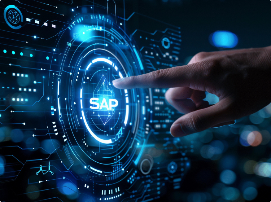 SAP Application Management Services